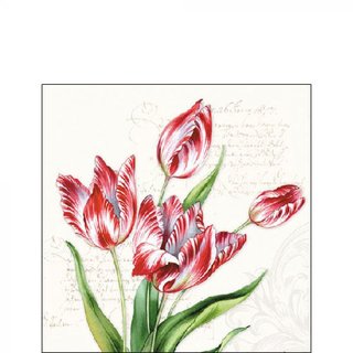 Serviette 25 x 25 cm  3 lagig, 20 Stück pro Packung Tulips AMBIENTE