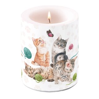 Windlicht Kerze D 10 cm; H 12  cm,  Big  ( Playing Kitten ) AMBIENTE