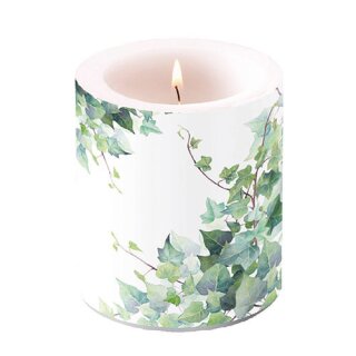 Windlicht Kerze D 10 cm; H 10 cm,  Medium ( Hedera White ) AMBIENTE